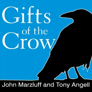 Gifts of the Crow: How Perception, Emotion, and Thought Allow Smart Birds to Behave Like Humans Audio CD  Unabridged, March 1, 2021
